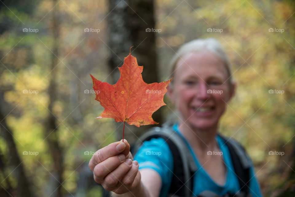Exploring the woods in the fall in New England and finding some beautiful leaves