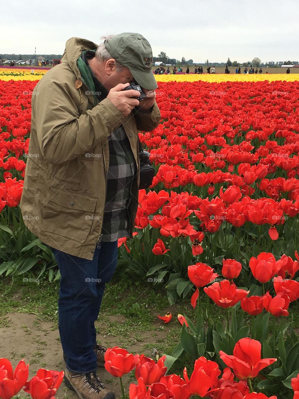 Tiptoe through the tulips