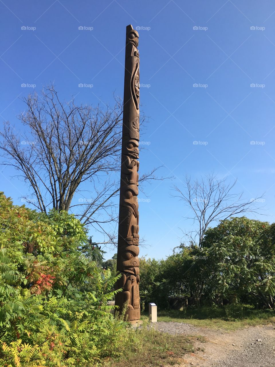 Real native totem pole on turtle island beautifully carved 