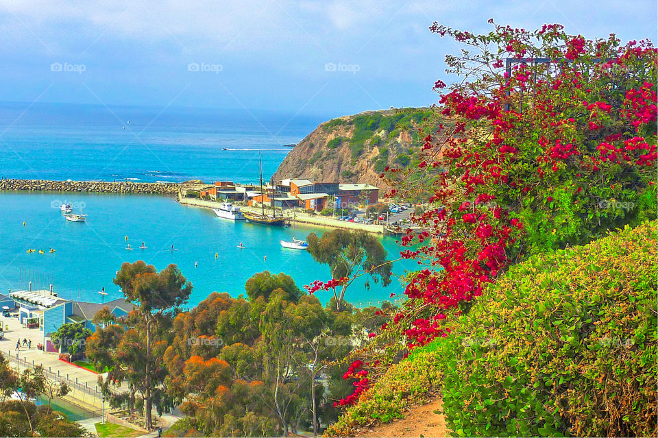 Dana Point Harbor in Southern California