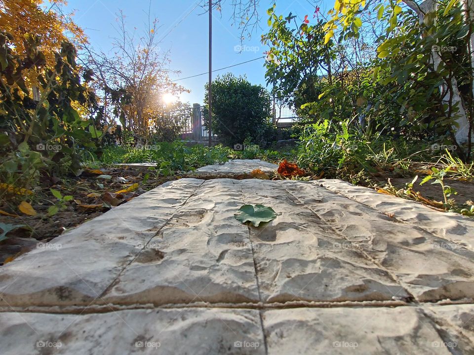 I thought maybe we need to think how it is to be a little and short one.