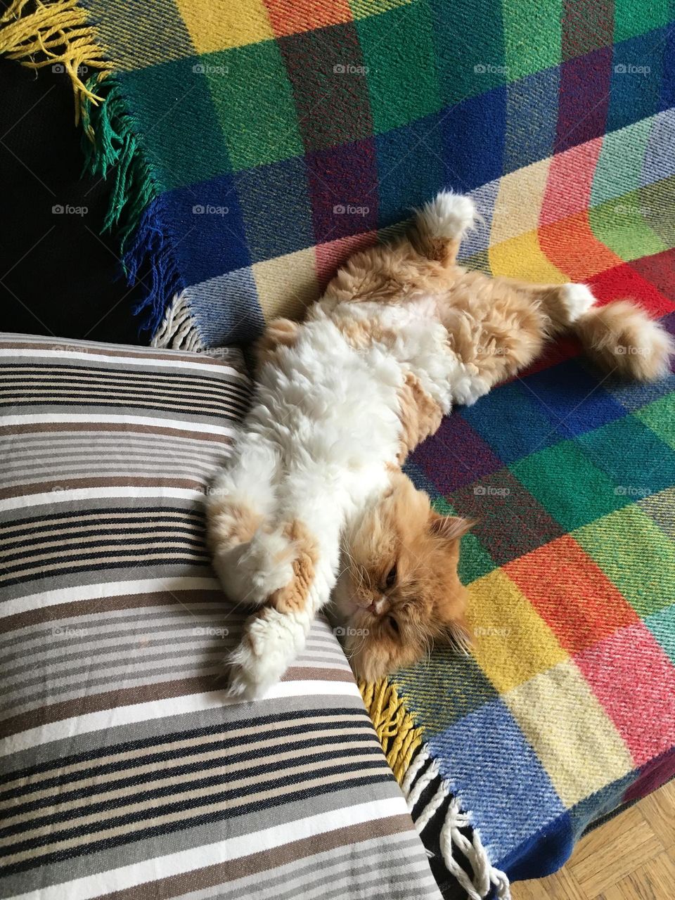 It’s a hard knock life… 