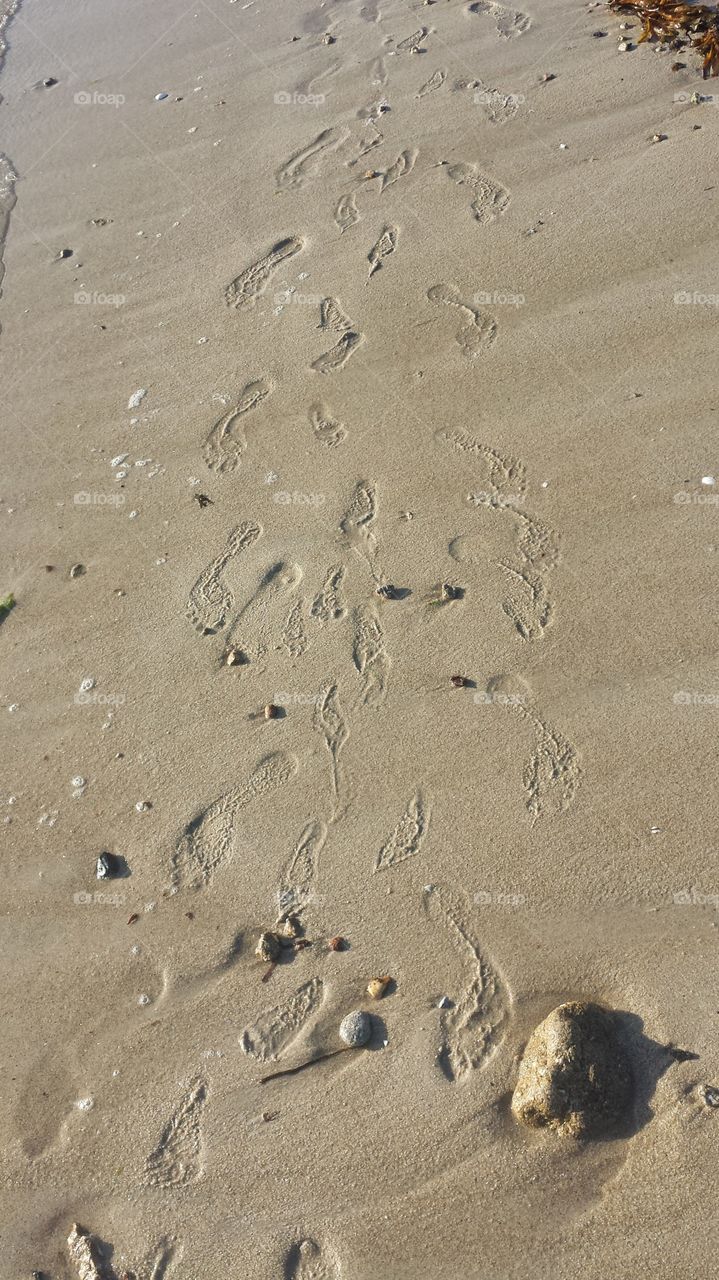 footprints of family on beach shore