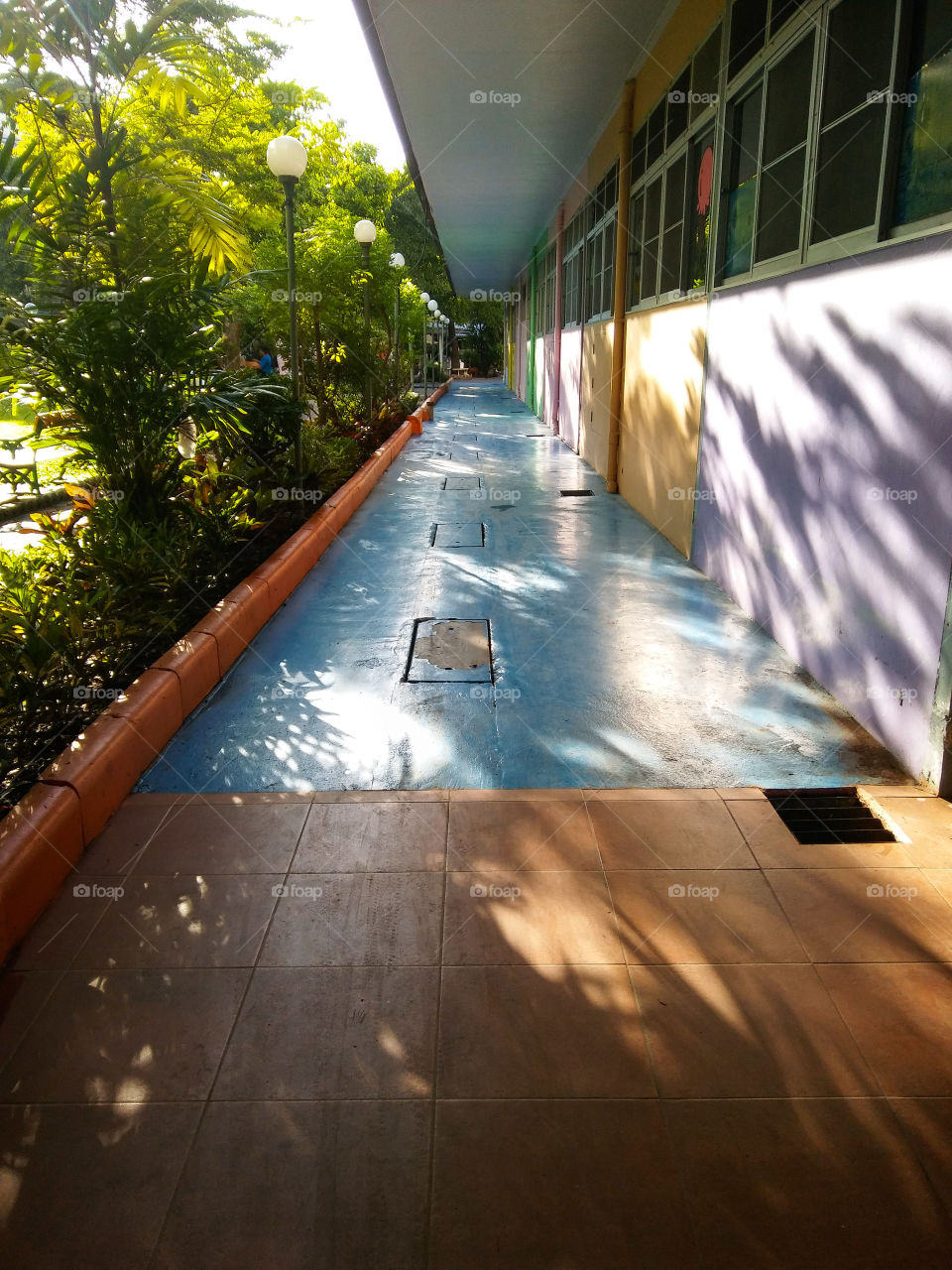 Light and shadow on c