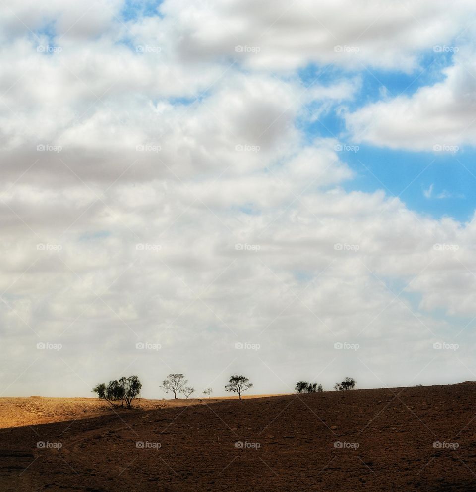 cloudy day in the desert