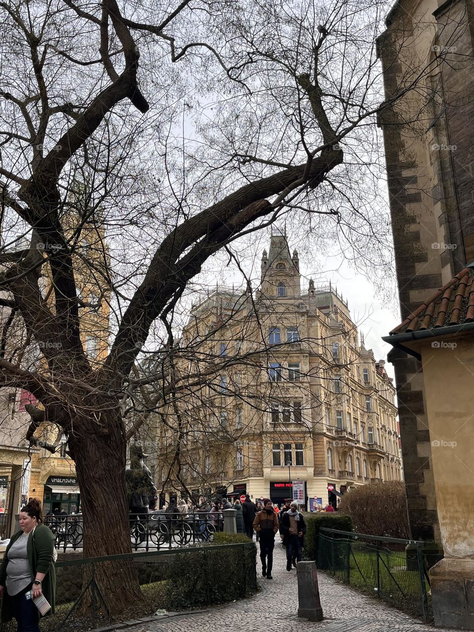 Beautiful winter day in Prague