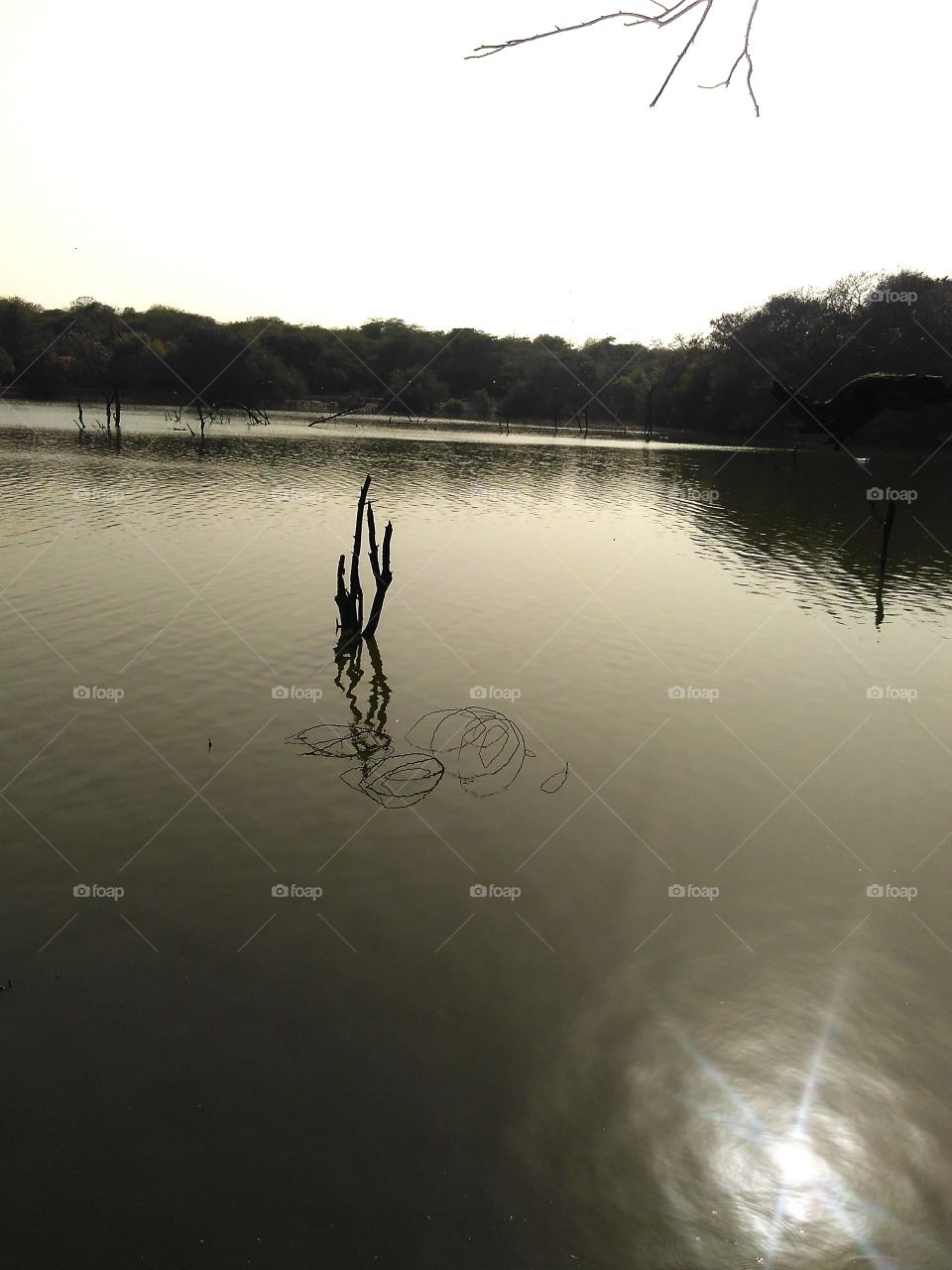 abandoned lake...view