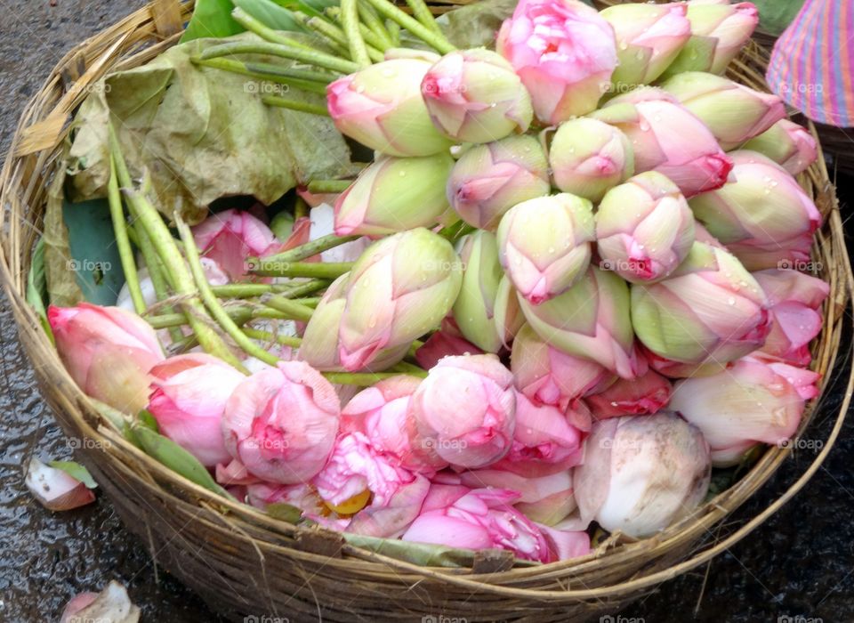 flowers in Taml nadu