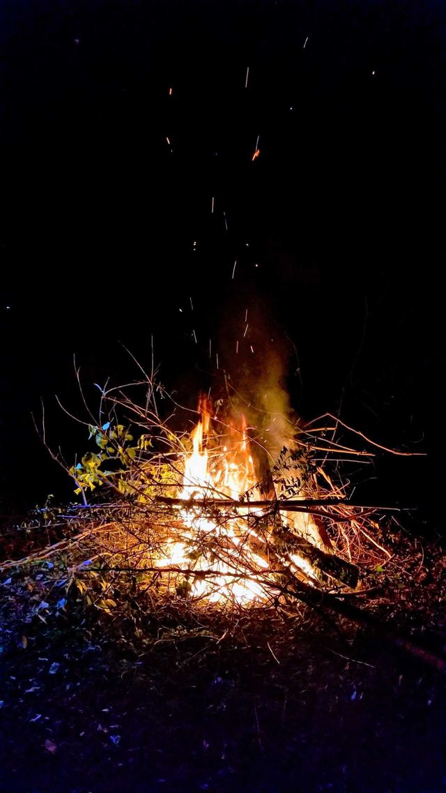 bonfire