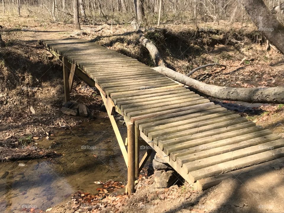 Trail Bridge 