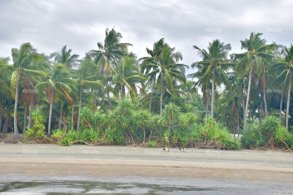 Beautiful Natural Green View.... 