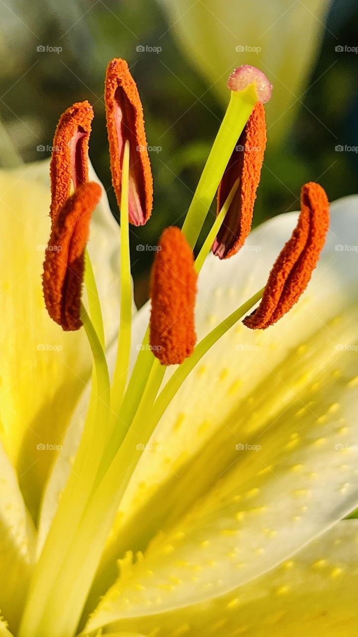 It’s beauty is that it is what it is 