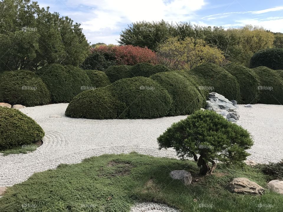 Japanese zen dry garden