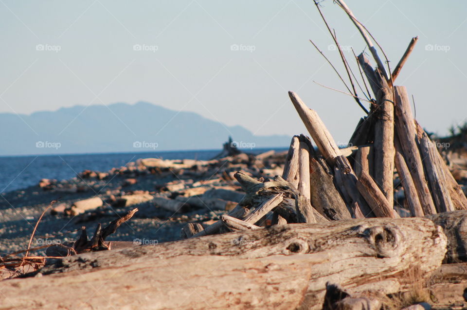 Shot of the driftwood on the beach alight in the rare winter sun. The setting sun creates warm highlights & interesting shadows on the wood, rocks & sand. The sea is indigo blue, the hills behind covered with blue mist that blends into the sky. 