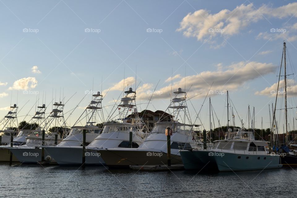 Several large white boats docked in a row on a river at dusk with white clouds in a blue sky
