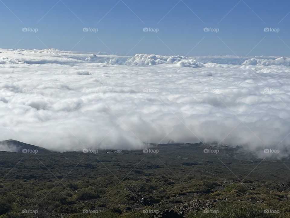 Close enough to walk on clouds 