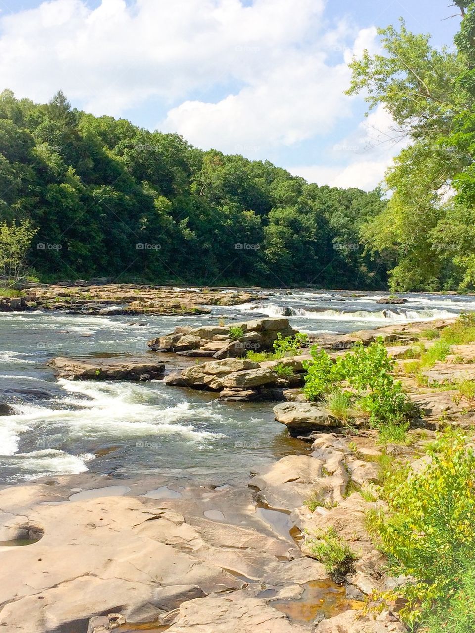 Ohiopyle upstream