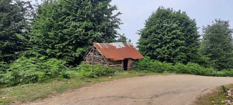Cottage