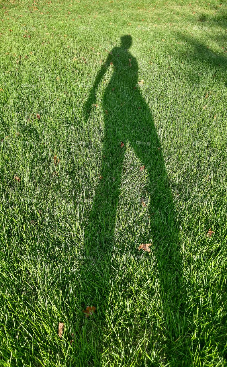 long shadow