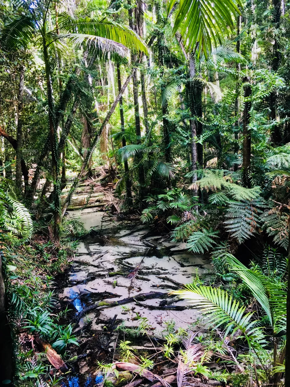 Creek
