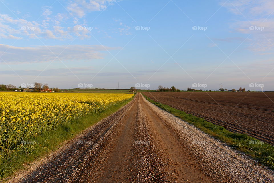 Landscape road in Skåne, Sweden.