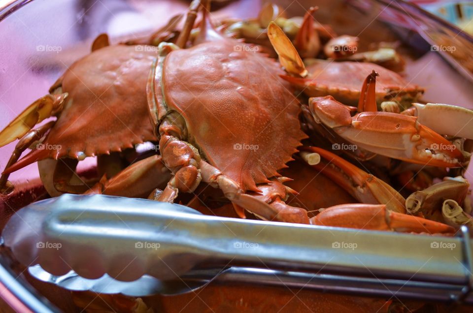 Blue Crabs for dinner