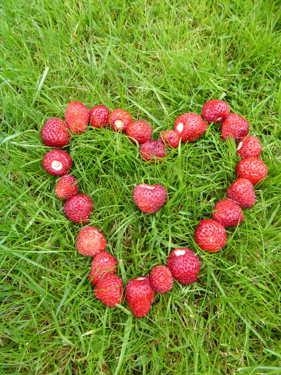 wild strawberries heart