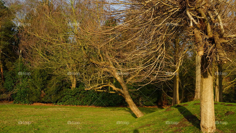 In a park in Antwerp
