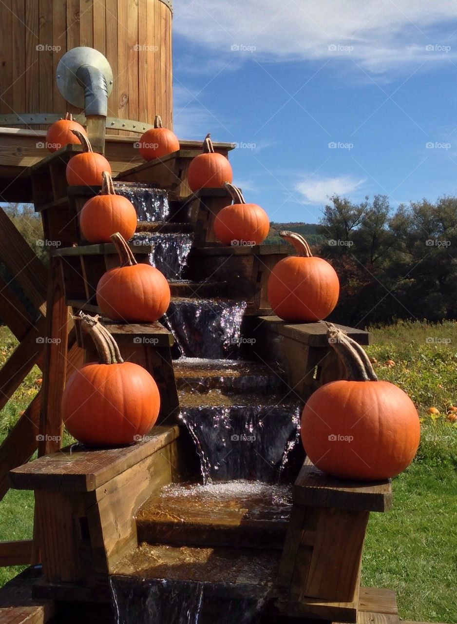 Pumpkins on water tower