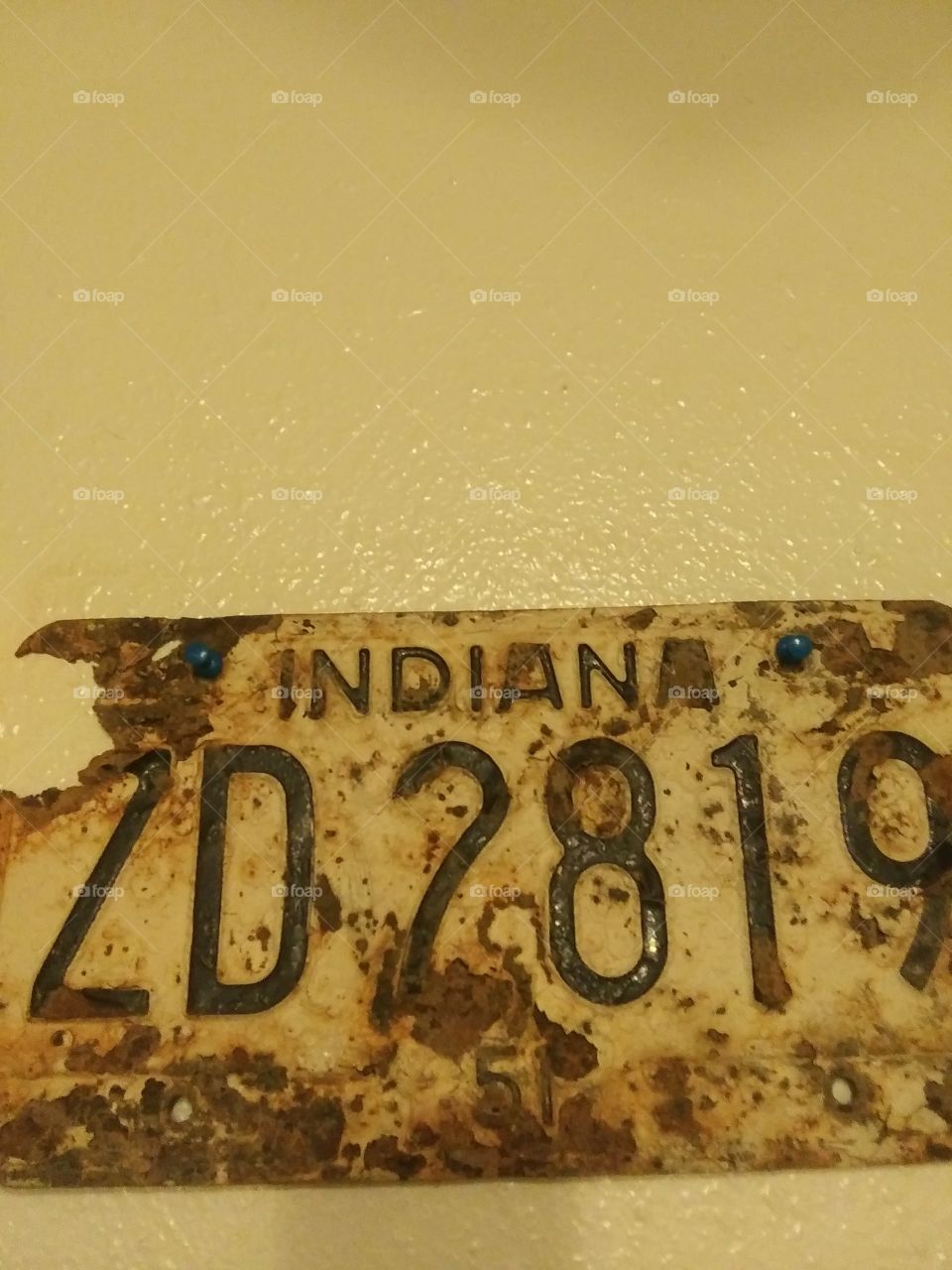 1951 liscence plate
