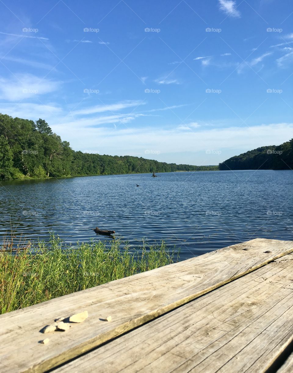 Peaceful, scenic lake surrounded by a lush green forest on a bright sunny day 