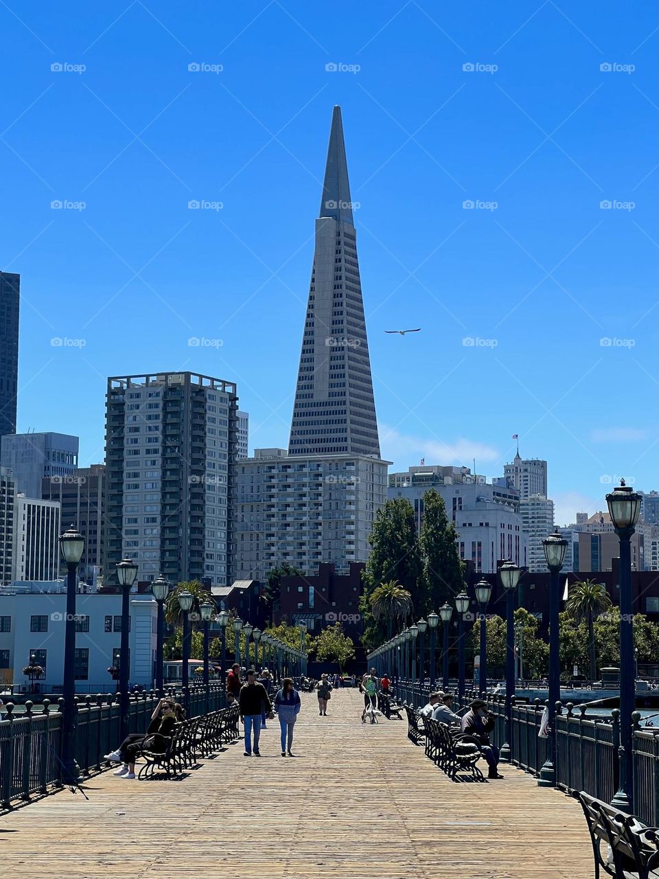 View of the Transamerica Pyramid from Pier 7 in San Francisco California 