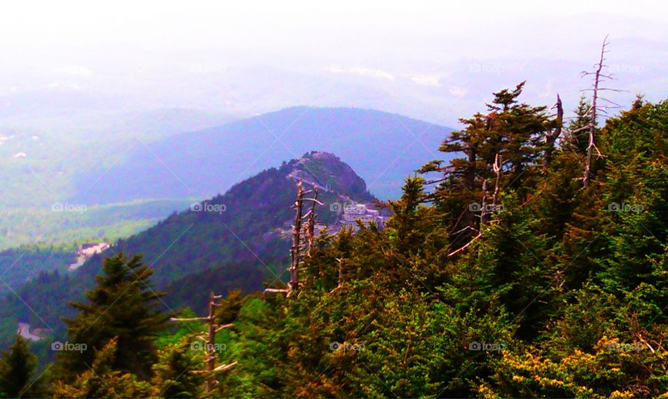 Purple Mountain Majesty 