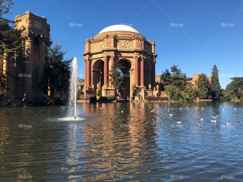Palace of the fine Arts