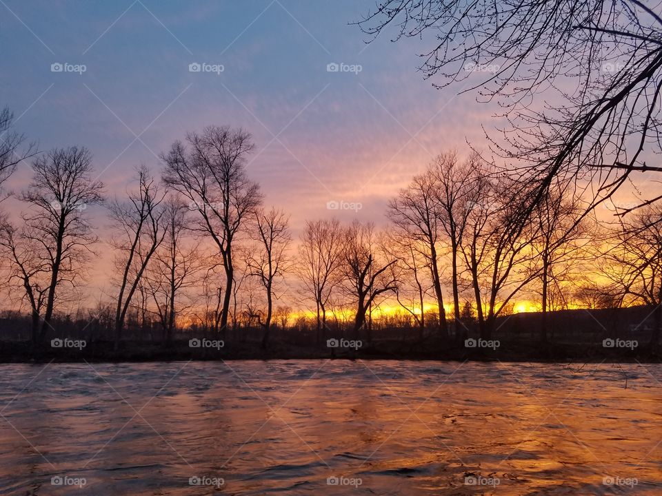 Dawn, Tree, Landscape, No Person, Water