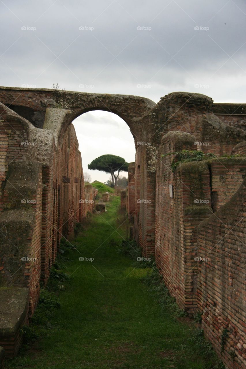 Ruins outside of Rome. When standing there one can only imagine wat life would have been like when humans still lived here. Seeing the contrast of the uninhabited city with the vibrant green of nature that surrounds it. Beauty and mystery.
