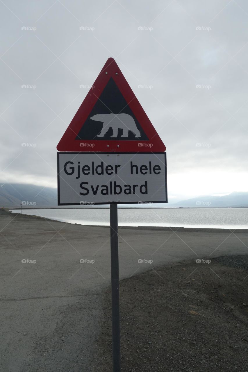 Polar bear warning