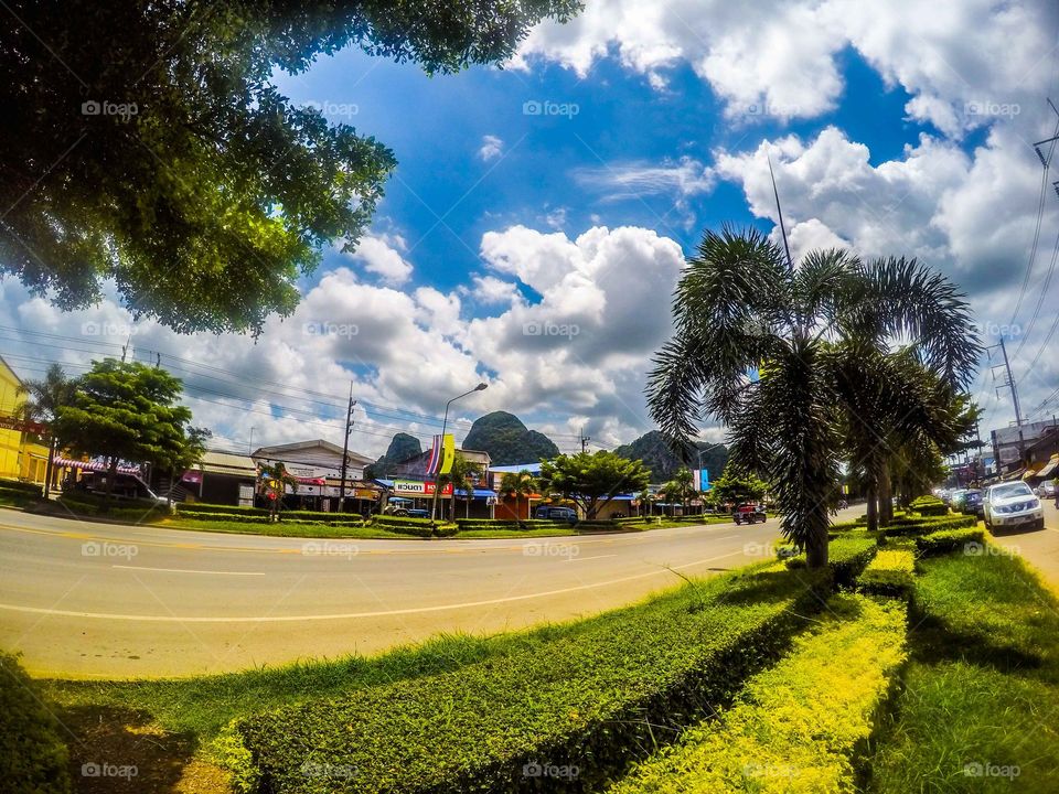 Tree, Road, No Person, Grass, Travel