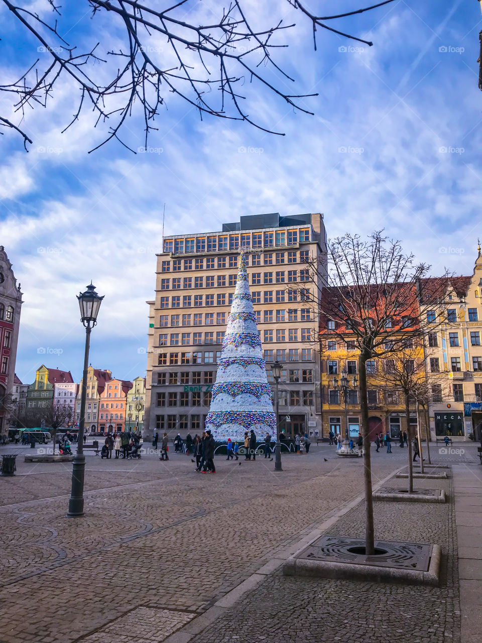 Christmas tree in Wroclaw 