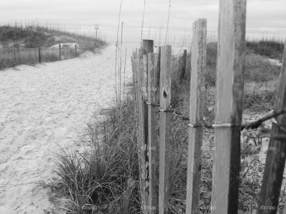 Pathway to the beach