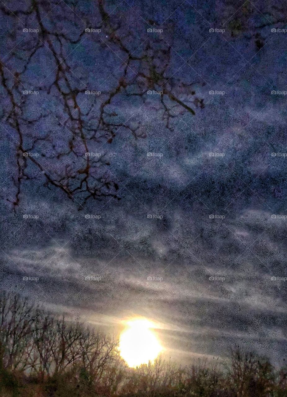 Full moon rising trees clouds night sky 