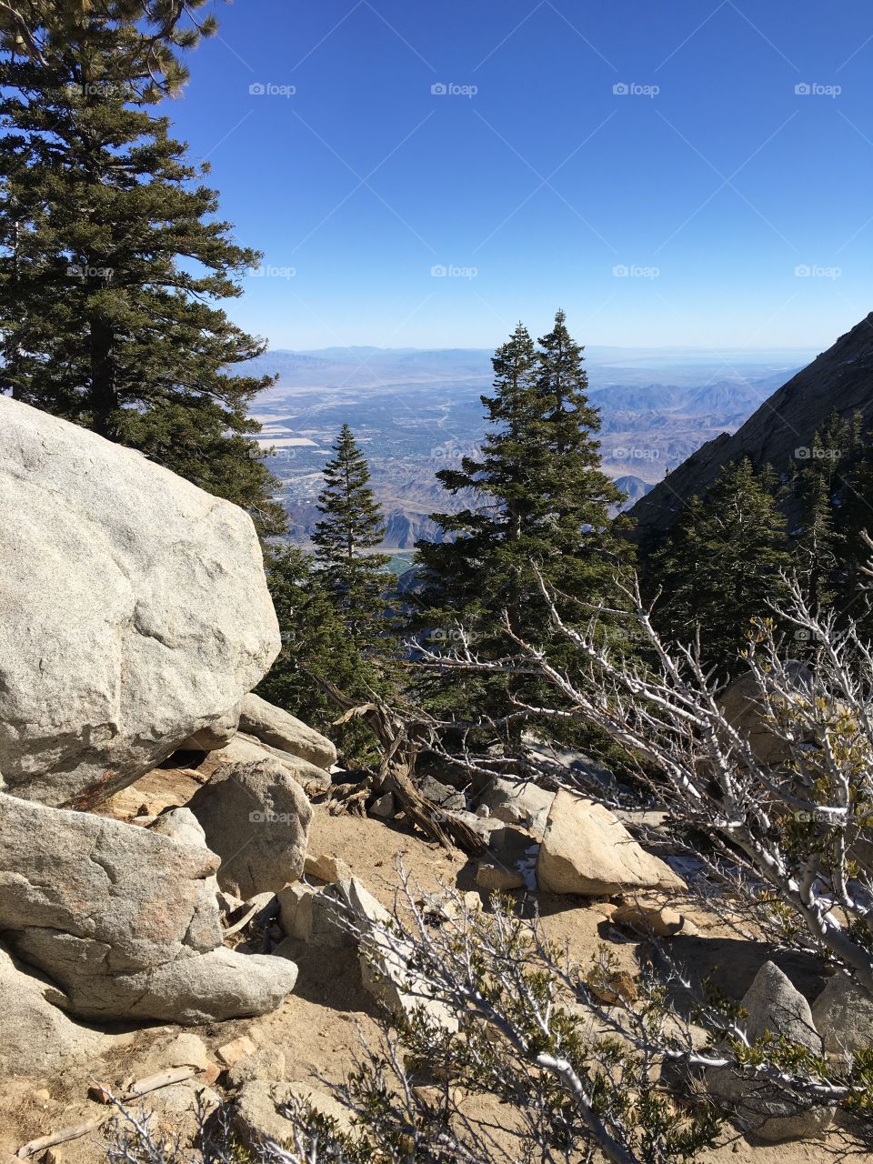 Palm Springs Aerial Tram - Mount San Jacinto State Park (View of the Desert Cities)
