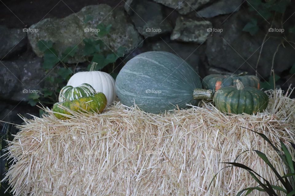 Decorative pumpkins on a haystack 