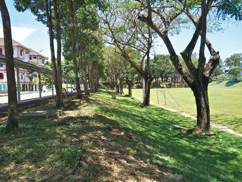 its all about nature