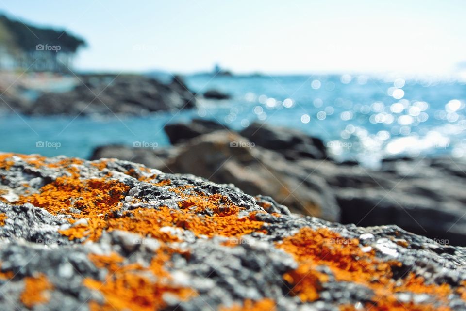 cliff, ocean, sea, seashore, landscape