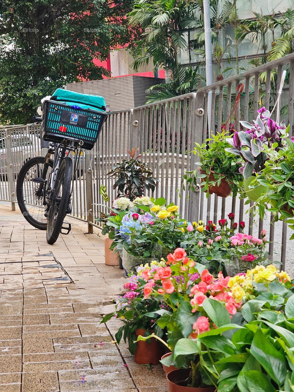 Bicycle parked on the street by the rail with colorful flowers