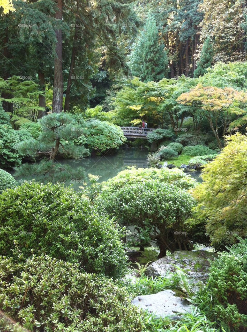 Portland Japanese gardens