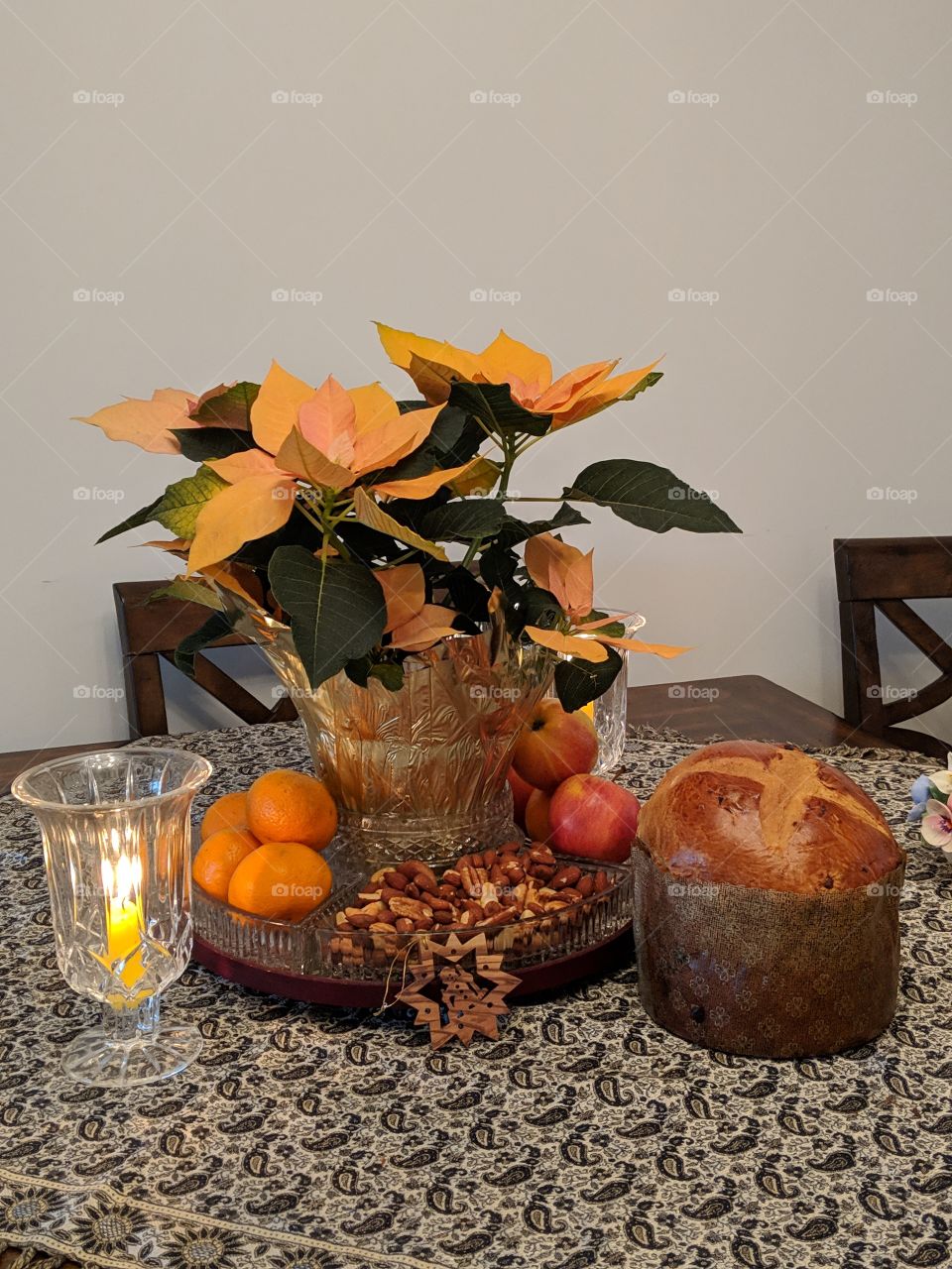 Coral poinsettia Christmas still life. Clementines nuts and panettone bread. Christmas snacks