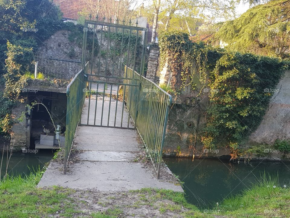 eau et paysage  nature