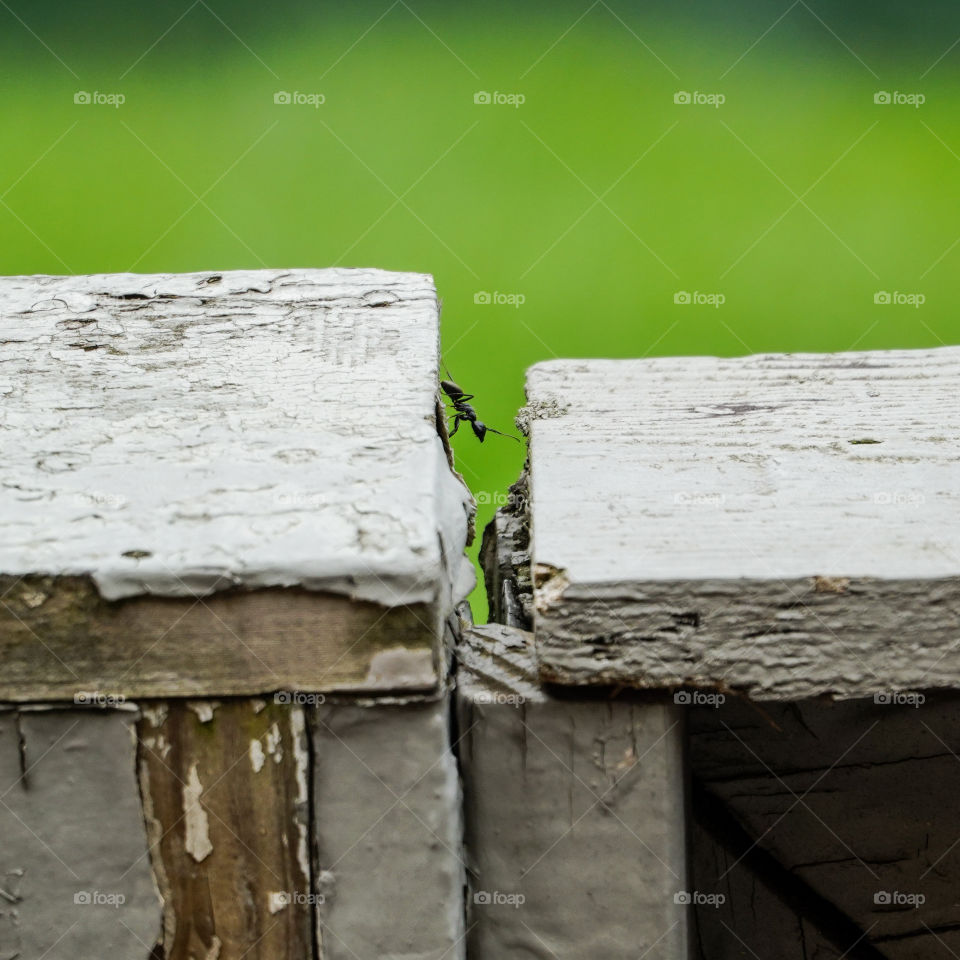 No Person, Old, Wood, Wooden, Desktop